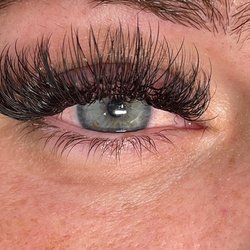 Lash-Anatomy
