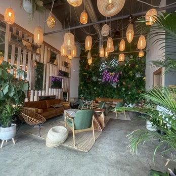 Wild - Coffee & Tea Near Me - Houston, Texas