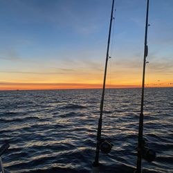 Manhardt Charters - Beautiful sunrise from a morning fishing trip
