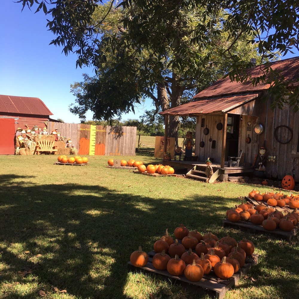 The Country Pumpkin - Pumpkin Patches Near Me - Wharton, Texas The Country Pumpkin - Pumpkin Patches Near Me - Wharton, Texas