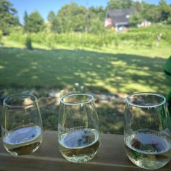 bear river vineyards - Wine tasting
