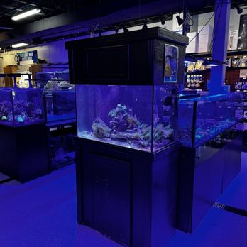 Reef eScape - Aquarium Services Near Me - Fairfax, Virginia
