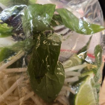 And Broth - Asian Fusion Near Me - Glendora, California And Broth - Asian Fusion Near Me - Glendora, California
