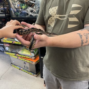 Xtreme Exotics - Reptile Shops Near Me - Jacksonville, Florida