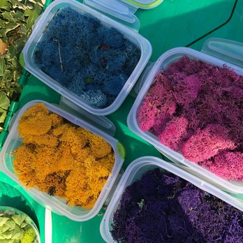 Succulence - Team Building Activities Near Me