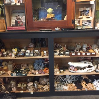 Paxton Gate - Home Decor Near Me - Portland, Oregon Paxton Gate - Home Decor Near Me - Portland, Oregon