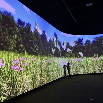 Peggy Notebaert Nature Museum - Interactive butterfly display - Museums Near Me - Chicago, Illinois Peggy Notebaert Nature Museum - Interactive butterfly display - Museums Near Me - Chicago, Illinois