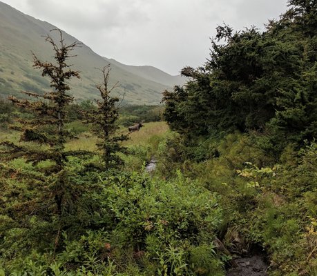 Williwaw Lakes Trail by null