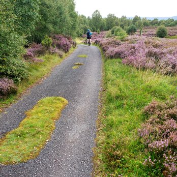 The Park Guesthouse - We loved cycling in the nearby Cairngorms National Park. - Guest Houses Near Me - Aviemore, HLD The Park Guesthouse - We loved cycling in the nearby Cairngorms National Park. - Guest Houses Near Me - Aviemore, HLD