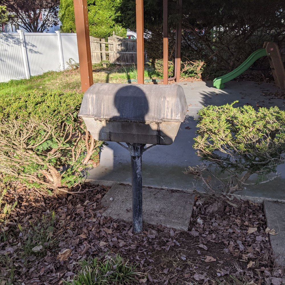 BCB Services - Tree Services Near Me - Old Tappan, New Jersey