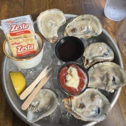 Oysters Oysters
