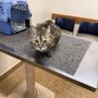 Photo of Loveland Animal Hospital