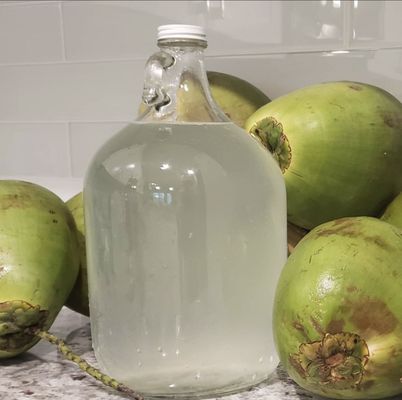 Cane & Coconut by null