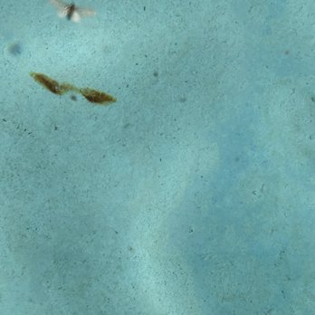 T D Bully - More rust from the tool at the bottom of the pool. - Masonry/Concrete Near Me - Morrisville, Pennsylvania