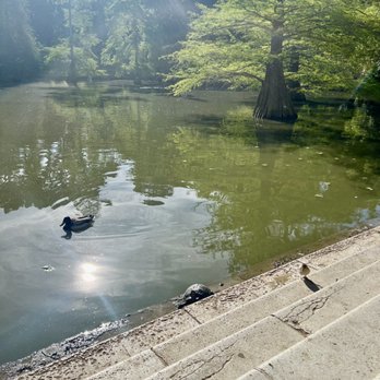Parque Del Retiro - Palacio de Cristal - Parks Near Me - Madrid, M