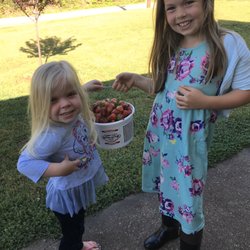 Sandy Flat Berry Patch - So happy with our early morning stop to pick up fresh berries. Strawberries make quarantine much better!