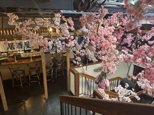 The Cultured Pearl Restaurant & Sushi Bar by null