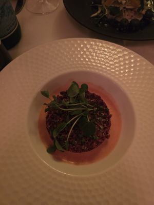 Babette Miami by null