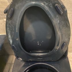 University Painters - Paint flushed in toilets and toilet ruined by painting crew. There is even more damage to our water by pouring paiint into our sewer system