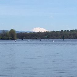 Scappose Bay Marina - View of Mt. St. Helens from the bay