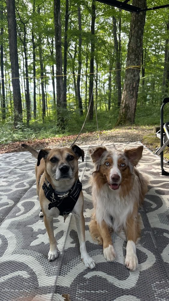 Social spots from Lackawanna State Park