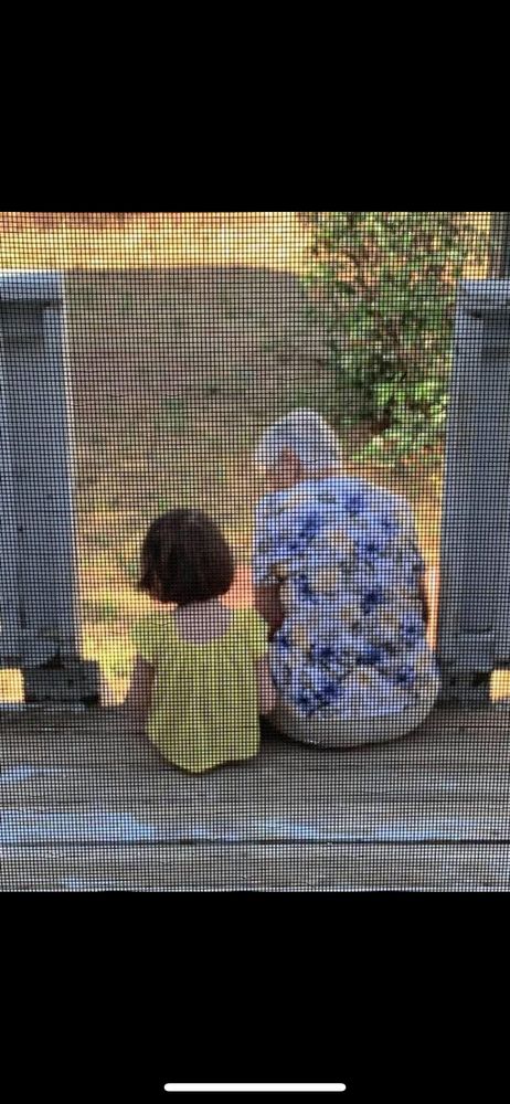 Arizona Family Law Attorneys - divorce attorney in Phoenix, AZ