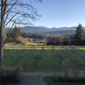Kiwi Cove Lodge - Hotels Near Me - Ladysmith, British Columbia