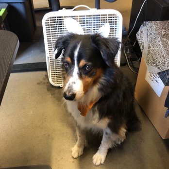 Showers Pass - Dog house! - Sports Wear Near Me - Portland, Oregon