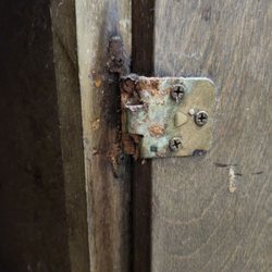 Guardian Management - Damaged and unsanitary kitchen cabinets