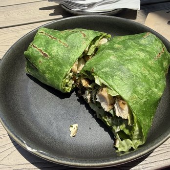 Parakeet Cafe - Little Italy - Chicken Caesar Wrap - Breakfast & Brunch Near Me - San Diego, California Parakeet Cafe - Little Italy - Chicken Caesar Wrap - Breakfast & Brunch Near Me - San Diego, California