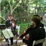 Photo of Odyssey Strings