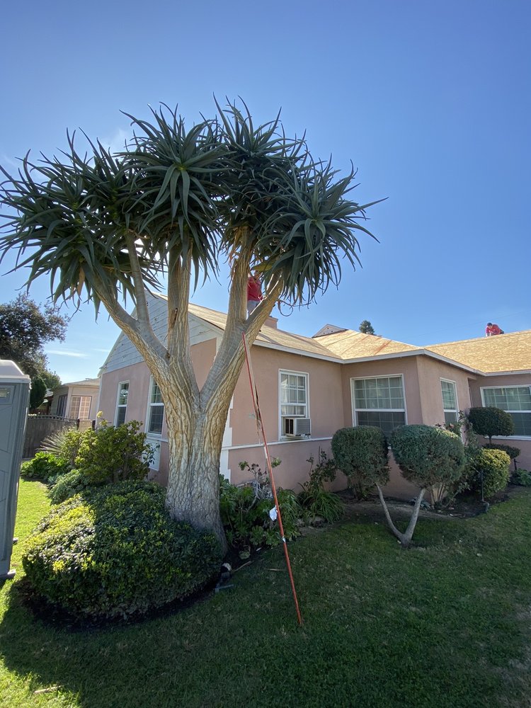 Slide of G R Roofing