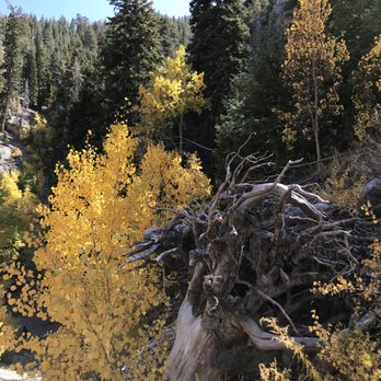 Cathedral Rock - Hiking Near Me - Mt Charleston, Nevada