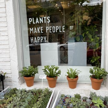 Pötit - Nurseries & Gardening Near Me - Buenos Aires, C