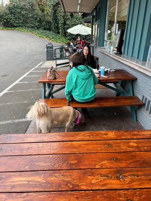 Sunflower Drive-In by null