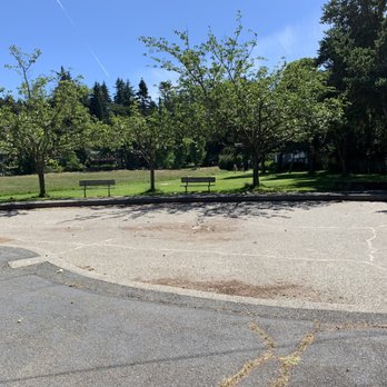 Dahl Playfield - No wading in the water today. - Parks Near Me - Seattle, Washington