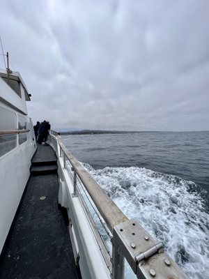 Chris' Fishing and Whale Watching by null
