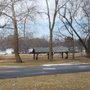 Photo of Charles Mill Park