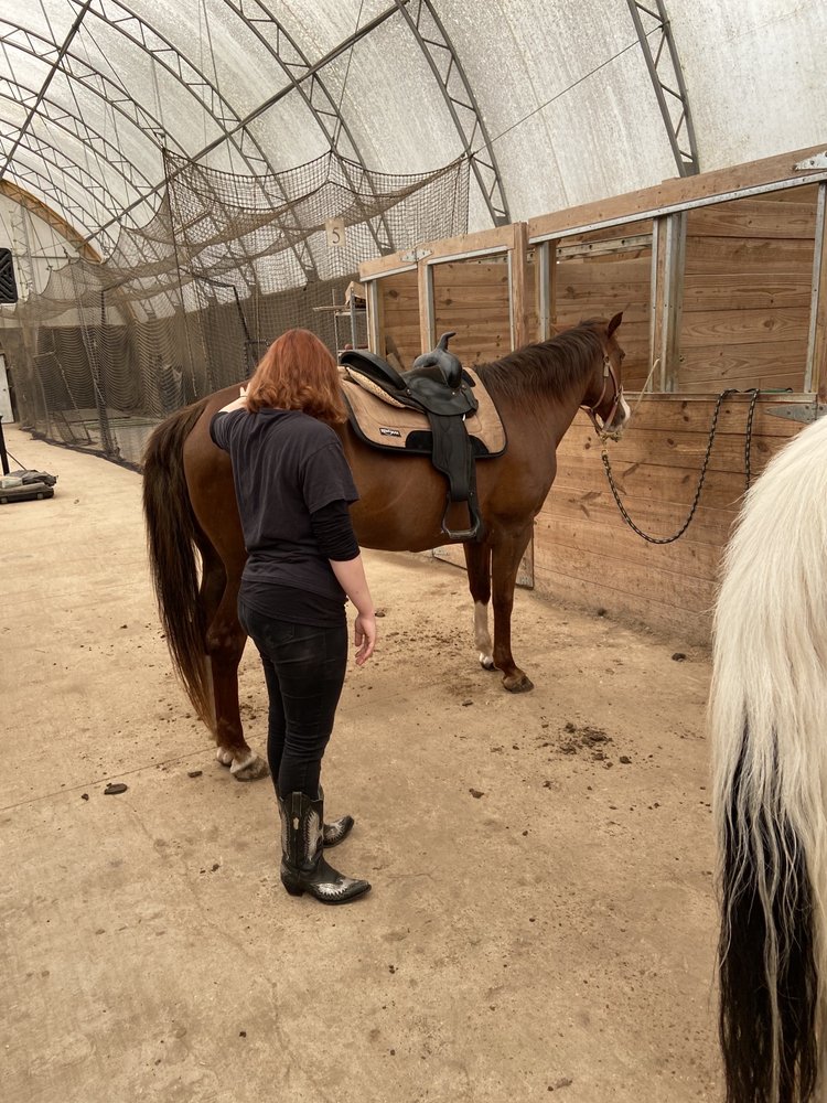 CASTLEWOOD STABLES Updated June 2024 15811 Jedberg Ln, Ballwin