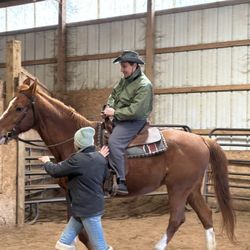 Tullin Ranch - Tammy preparing John for his ride