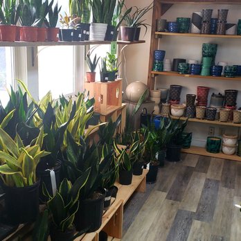 For Garden's Sake - Plants - Nurseries & Gardening Near Me - Durham, North Carolina For Garden's Sake - Plants - Nurseries & Gardening Near Me - Durham, North Carolina