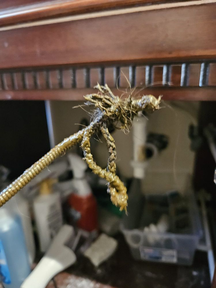 Slide of Master Rooter