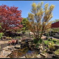 The Creek Nursery