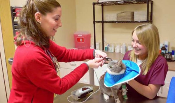 Katonah Bedford Veterinary Center 52 Photos 43 Reviews Veterinarians 546 N Bedford Rd Rte 117 Bedford Hills Ny United States Phone Number