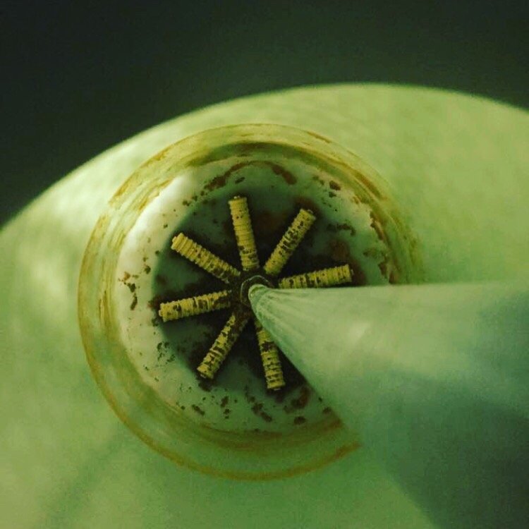 Slide of Star Valley Plumbing