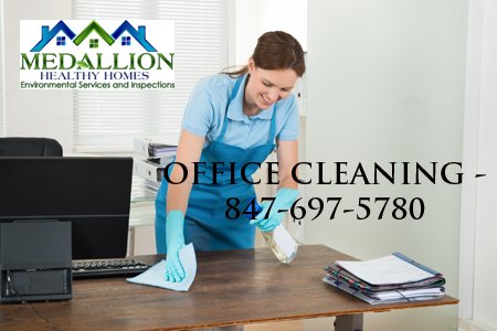 Medallion Healthy Homes of Chicago - mold inspector in Elk Grove Village, IL