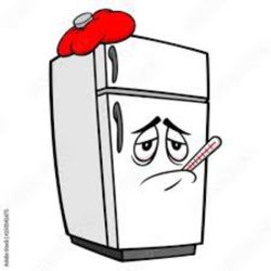 Salt Life Appliance Repair