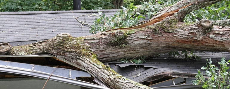 Slide of RoofBidders