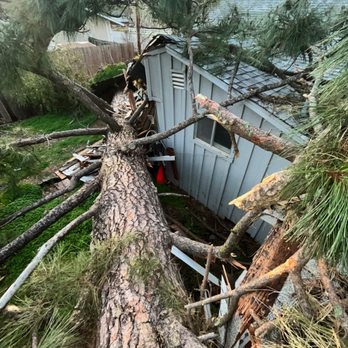 Jaeger's Tree Service - Tree Services Near Me - Rio Linda, California