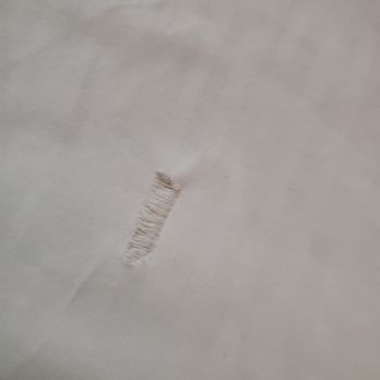 Baymont by Wyndham Waycross - Torn sheets. - Hotels Near Me - Waycross, Georgia